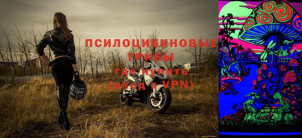 ГАЛЛЮЦИНОГЕННЫЕ ГРИБЫ Бронницы