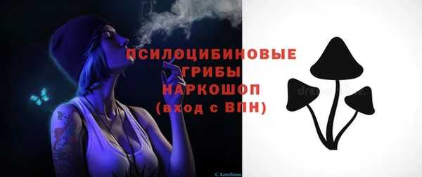 метадон Богданович