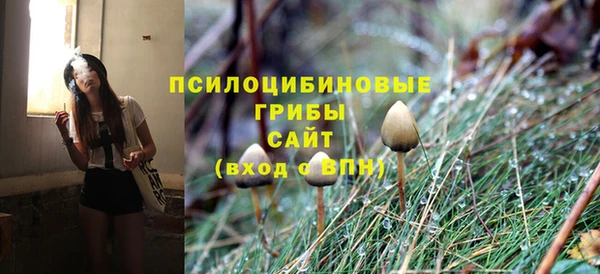 PSILOCYBIN Бородино