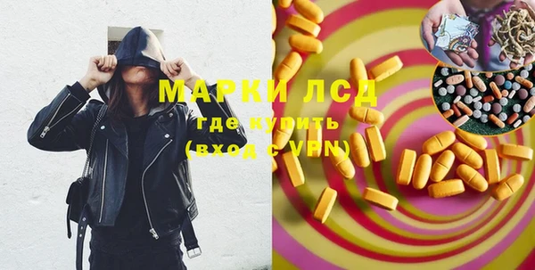 метадон Богданович