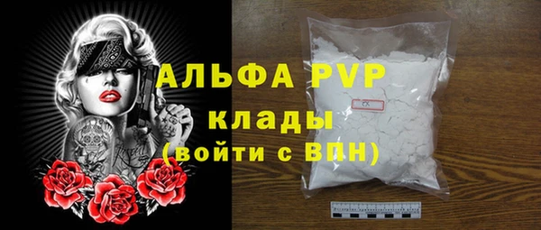 метадон Богданович