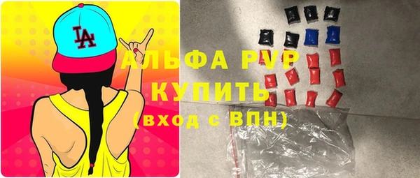 PSILOCYBIN Бородино
