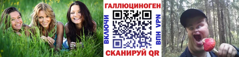 где можно купить   Кировск  Галлюциногенные грибы MAGIC MUSHROOMS 